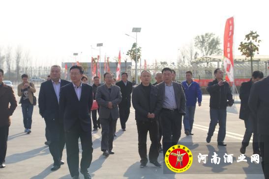 图片4