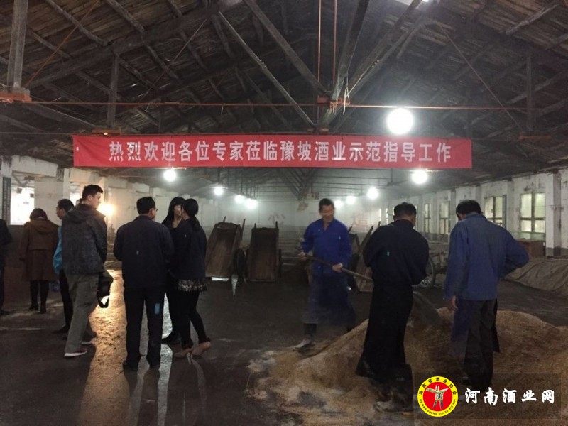 QQ图片20141127114131