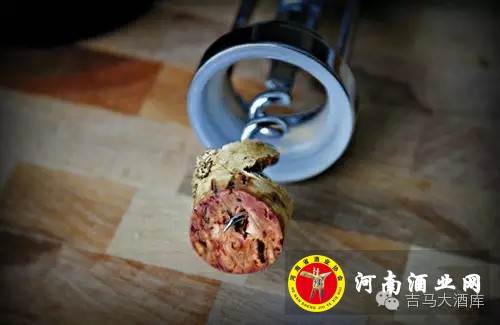 7272120.webp