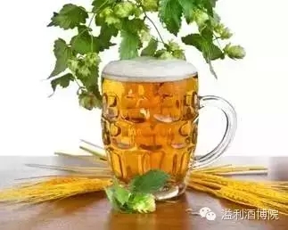 啤酒.webp