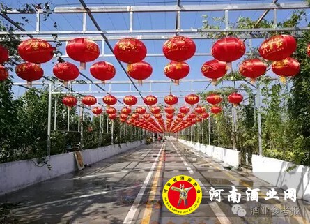 QQ截图20170113111244