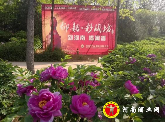 QQ截图20180411093402