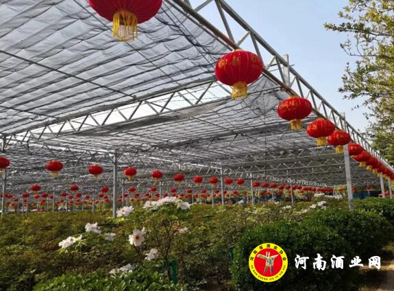 QQ截图20180411093431