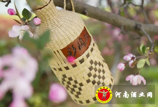 QQ截图20180411103402