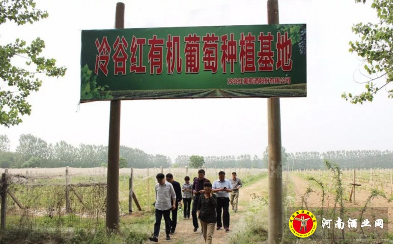QQ截图20180513181824