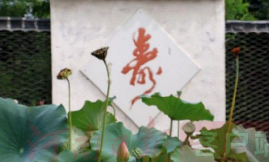QQ截图20181227154159
