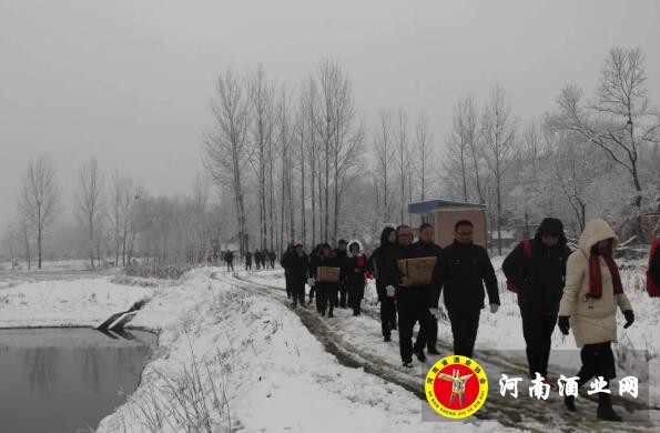 QQ截图20190110085719