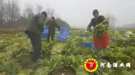 QQ截图20190110085923