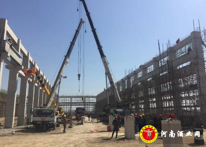 QQ截图20190315085853