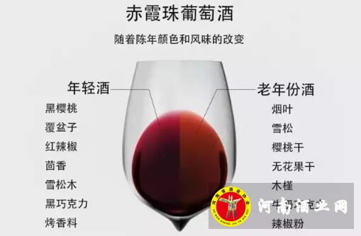 QQ截图20190319115342