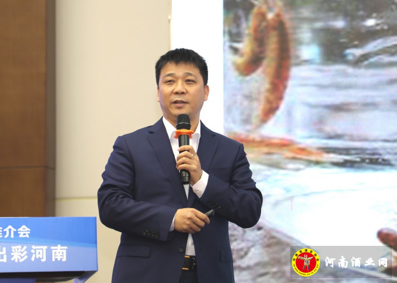 杜康柳向阳