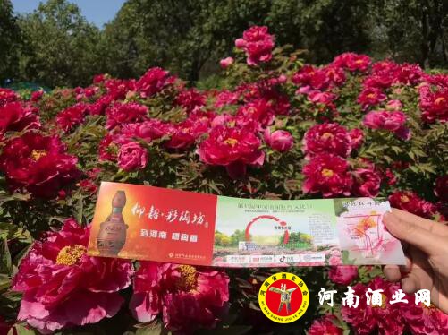 QQ截图20190415180907