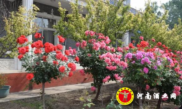 QQ截图20190509145308