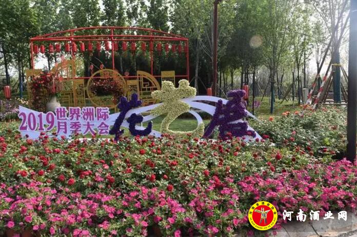 QQ截图20190509160000