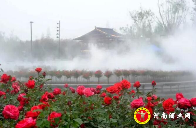 QQ截图20190509160023