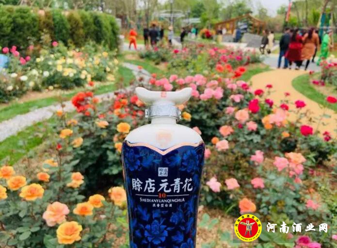 QQ截图20190509160034