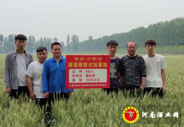 QQ截图20190510172726