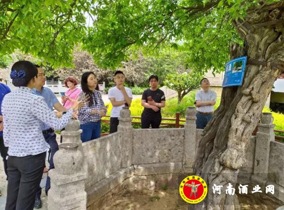 QQ截图20190517170806