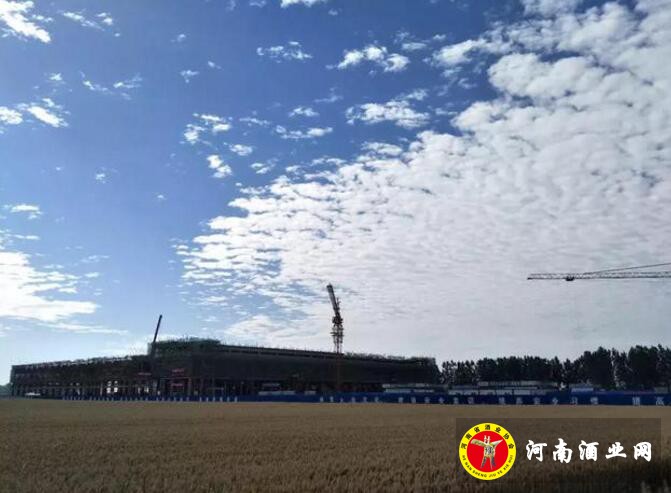 QQ截图20190529173057