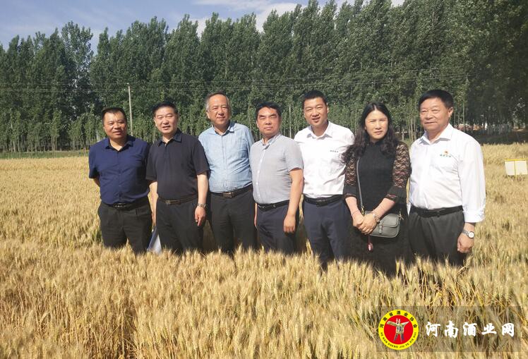 QQ截图20190617102816