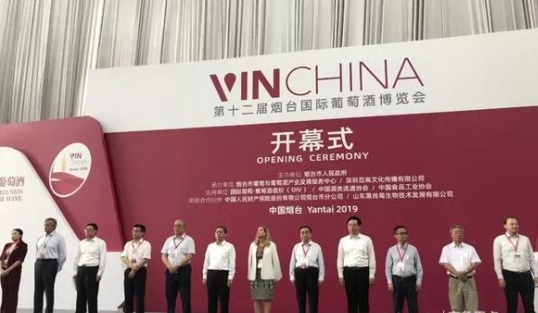QQ截图20190628173131