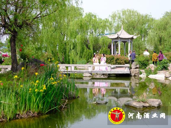 QQ截图20190715182828