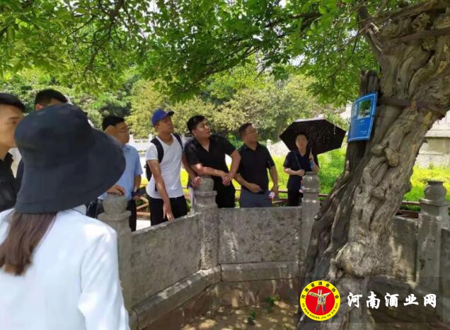 QQ截图20190717151936