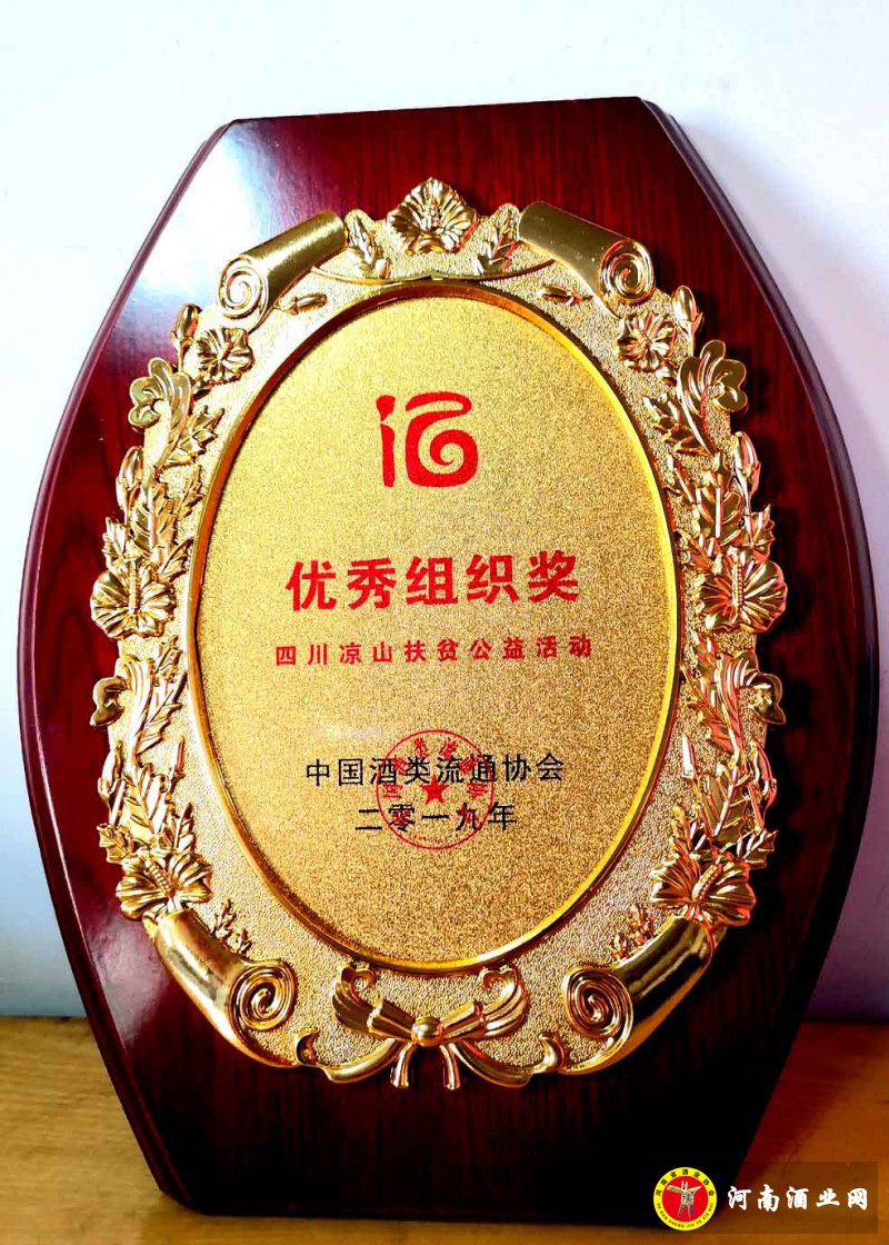 优秀组织奖