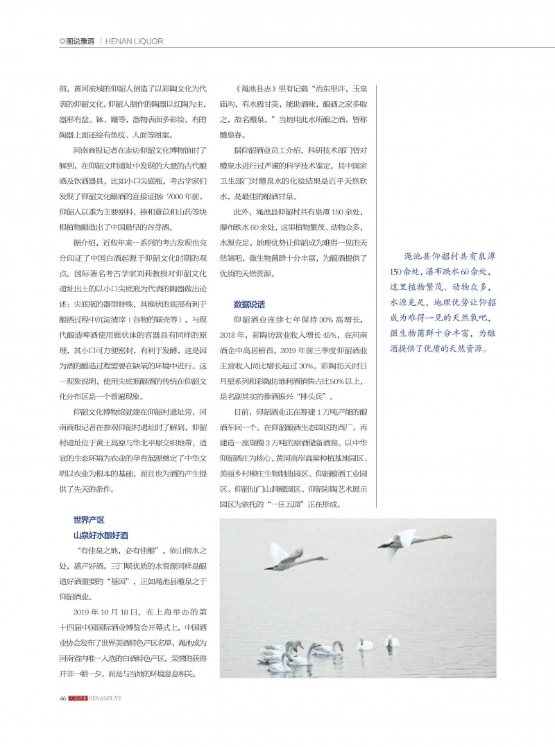 河南酒业2019年第5期_页面_46