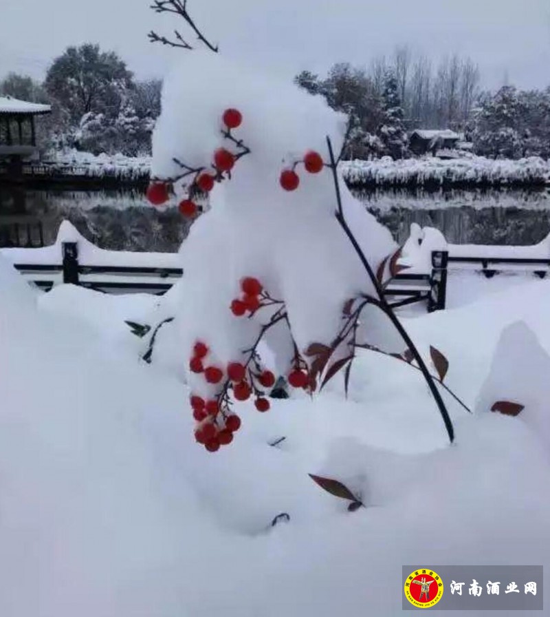 QQ截图20200107202009