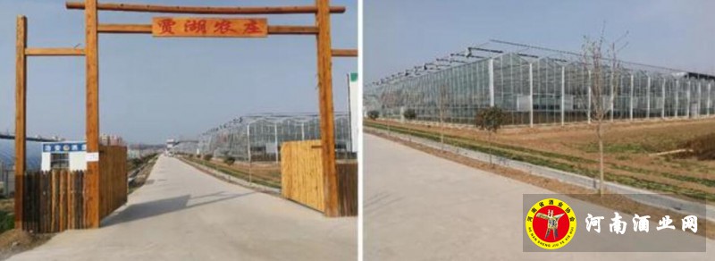 QQ截图20200224190112