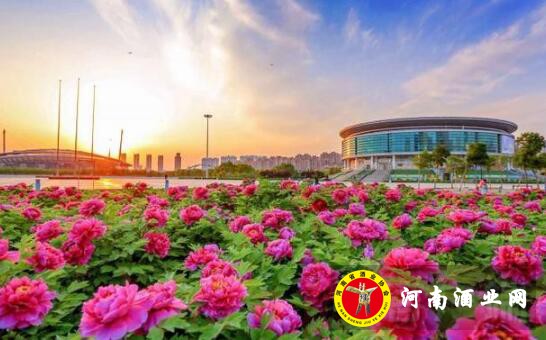 QQ截图20200408165437