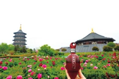 QQ截图20200422164417