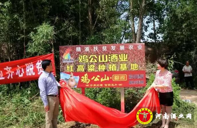 QQ截图20200429165700