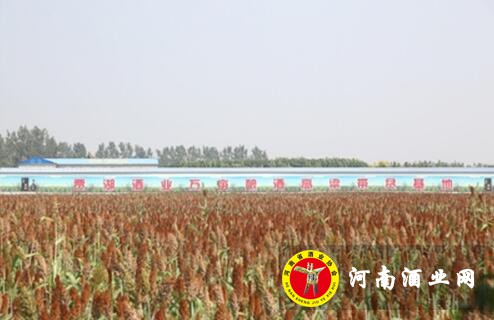 QQ截图20200514173410