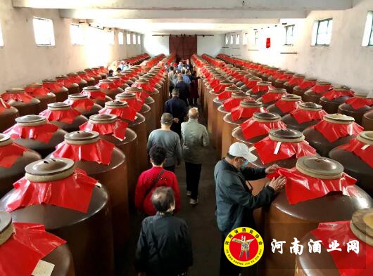 QQ截图20200515171831