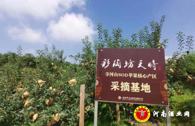 QQ截图20200811165509