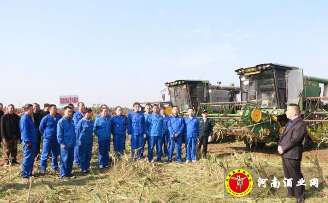 QQ截图20201009165302