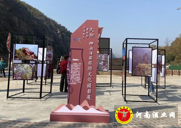 QQ截图20201025162925
