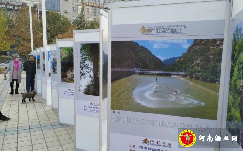 QQ截图20201025162935