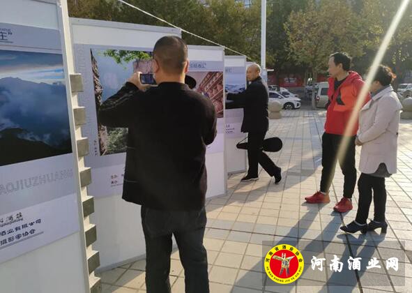 QQ截图20201025162942