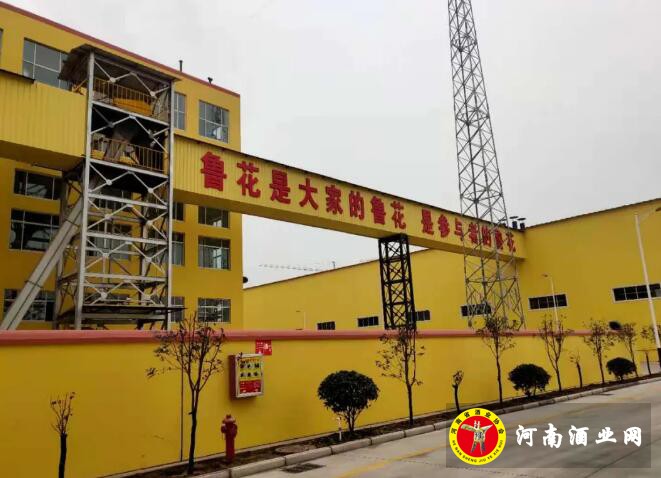 QQ截图20201125145132