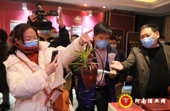 QQ截图20201201152341