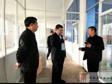 桐柏县委书记贾松啸深入淮源酒业调研