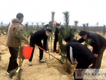 河南酒协党支部连续三年开展义务植树活动